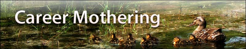 Career Mothering